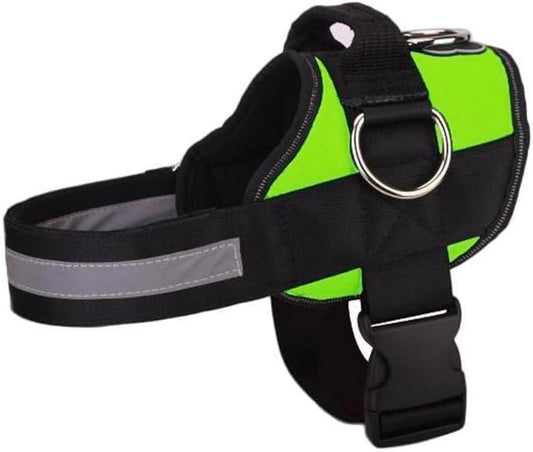 World's Best No pull Dog Harness