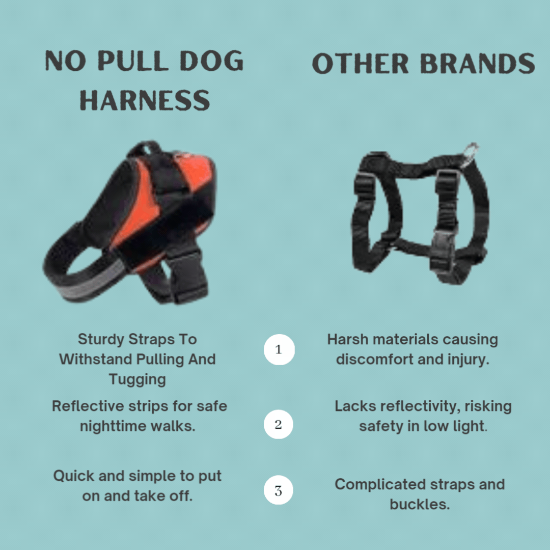 World's Best No pull Dog Harness